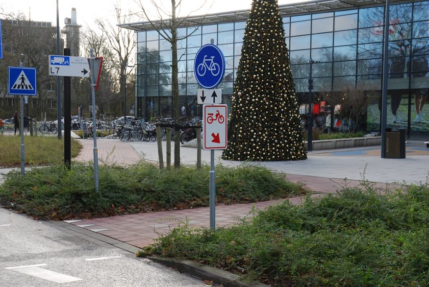Mall Banninglaan